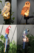 Load image into Gallery viewer, Owl &amp; Parrot Solar LED Garden Lawn Pathway Lights
