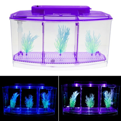 LED Acrylic Aquarium Breeding Isolation Box with Three Divisions for Small Fish Mini Breeding Tank for Baby Fish and Tiny Aquarium Species