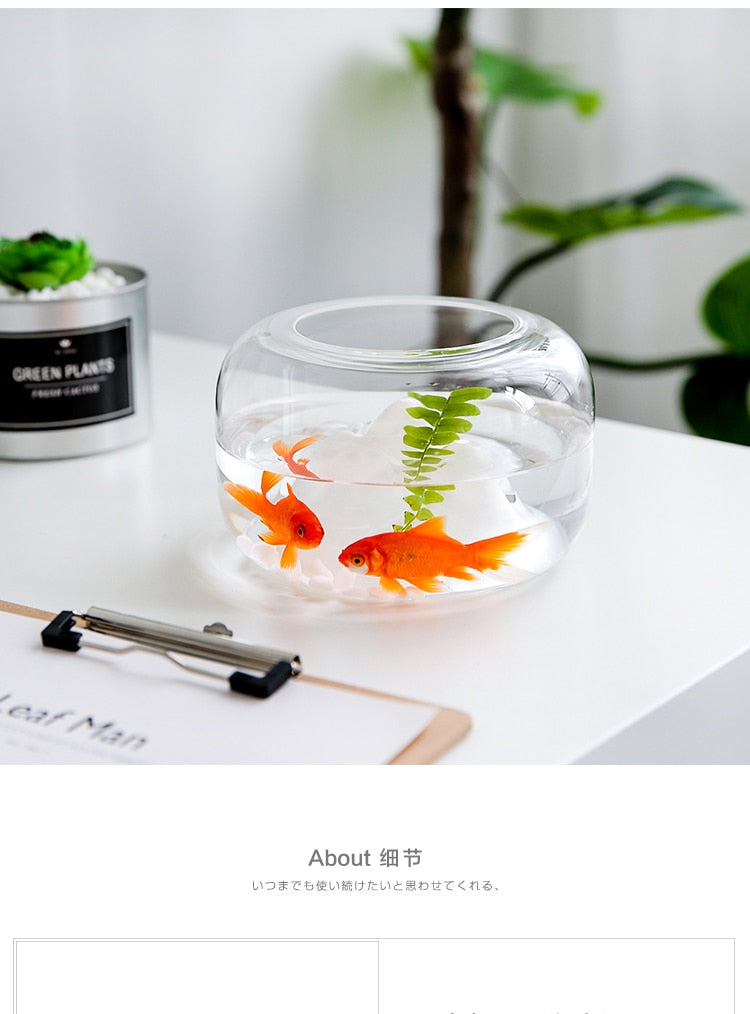 New Unique Mini Fish Bowls Aquarium for Home and Office Decor