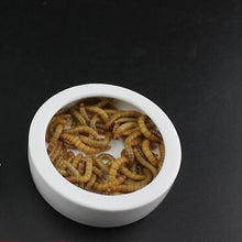 Load image into Gallery viewer, Pet Reptile Ceramic Feeding Dish Bowl Feeder

