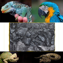 Load image into Gallery viewer, Aquarium Background 3D Foam for Fish Terrarium Reptiles

