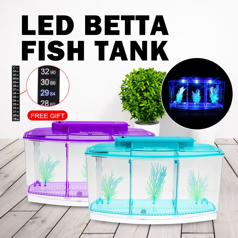 LED Acrylic Aquarium Breeding Isolation Box with Three Divisions for Small Fish Mini Breeding Tank for Baby Fish and Tiny Aquarium Species