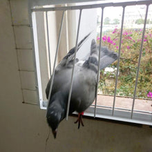 Load image into Gallery viewer, Pigeon Door Metal Trap for Bird Cage
