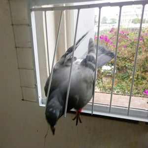 Pigeon Door Metal Trap for Bird Cage