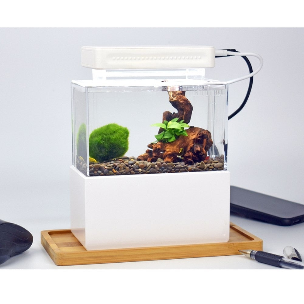 Compact Mini Aquarium Fish Tank Set for Desktop & Office Spaces