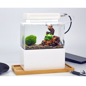 Mini Fish Tank Gallon Fish Bowl Small Aquarium Tank Container