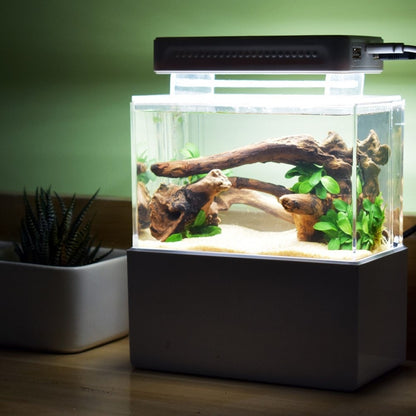 Compact Mini Aquarium Fish Tank Set for Desktop & Office Spaces