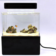 Load image into Gallery viewer, actual Mini Aquarium Fish Tank Set Desktop
