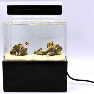 actual Mini Aquarium Fish Tank Set Desktop