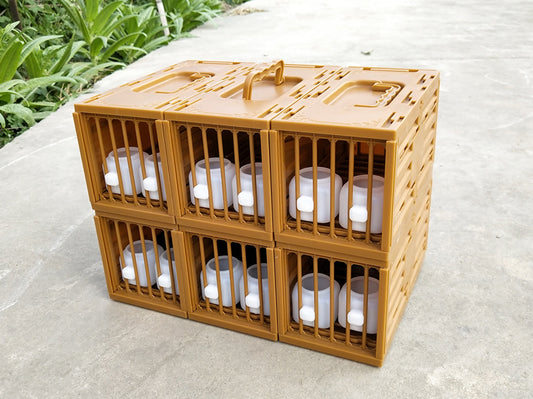 Safety Bird Travel Cage Carry Bag Box