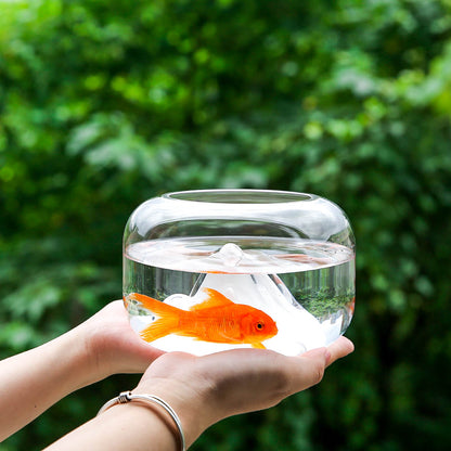 New Unique Mini Fish Bowls Aquarium for Home and Office Decor