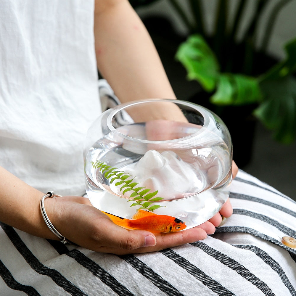 New Unique Mini Fish Bowls Aquarium for Home and Office Decor