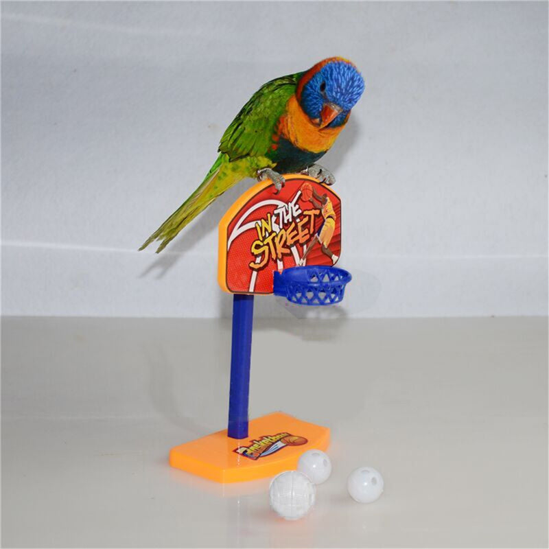 Bird Hoop Basketball Training Toy  Fun and Interactive Game for Parrots, Cockatiels, and Parakeets