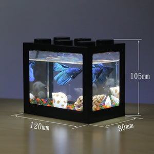 Betta Fish Tank Dimension