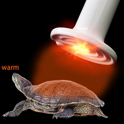 Reptile Ceramic Heating Lamp Safe Heat Emitter for Snakes, Lizards, and Turtles