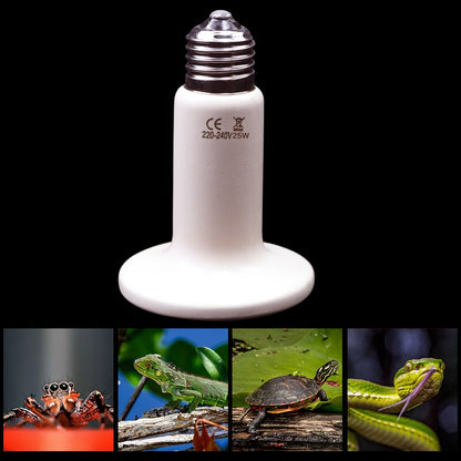 Reptile Ceramic Heating Lamp Safe Heat Emitter for Snakes, Lizards, and Turtles