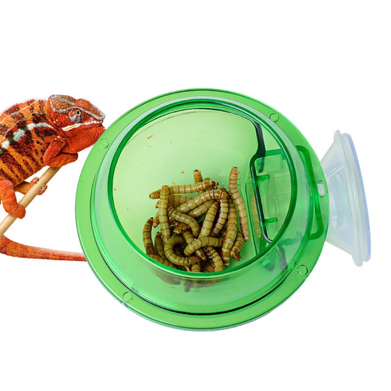 Reptile Food Container Bowl  Durable Feeding Cup for Lizards, Snakes, Turtles, and Tortoises