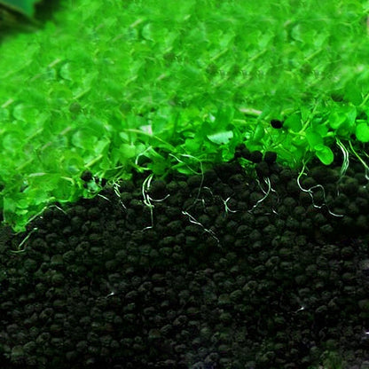 Nutrient Rich Substrate Soil for Healthy Aquarium Plants