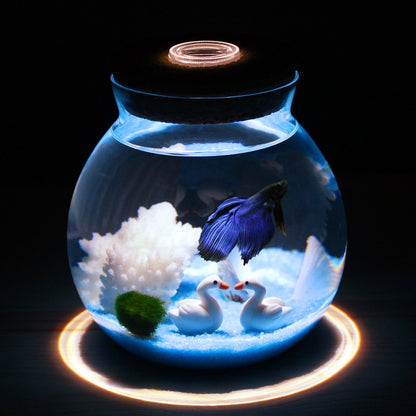 Novelty RGB LED Night Lamp Romantic Sea Fish in a Stone Ocean Bottle Night Lights for Children, Babies, and Christmas Bedroom Decorations.