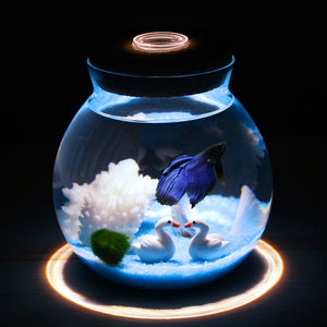 Mini Betta Fish Tank Bowl Betta Aquarium LED Set