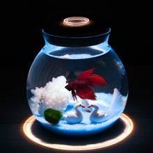 Load image into Gallery viewer, Mini Betta Fish Tank Bowl Betta Aquarium LED Set
