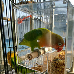 Transparent Parrot Lovebirds Bird Feeder Box Container