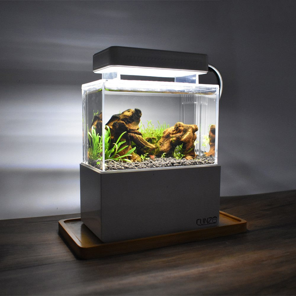 Mini Aquarium Fish Tank Set for Desktop