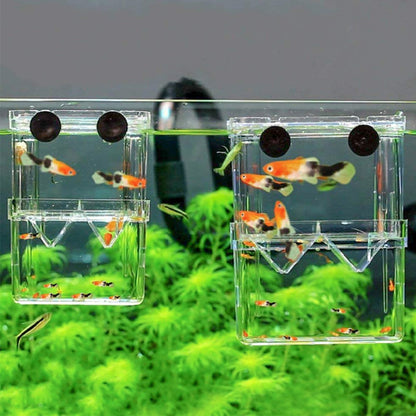 Aquarium Isolation and Quarantine Fish Tank for Safe and Secure Fish Care