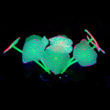 Load image into Gallery viewer, Artificial Anemone Coral Aquarium Decorations Glow in the Dark Plants
