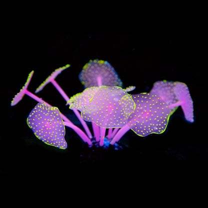 Glow-in-the-Dark Artificial Coral Decorations for Stunning Underwater Ambiance