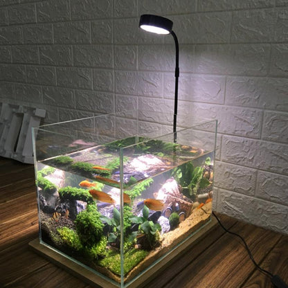 Wooden Aquarium Stand with LED Ambient Light