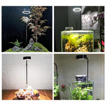 Load image into Gallery viewer, Wood Board Stand For Aquarium Fish Tank With LED Bug Light
