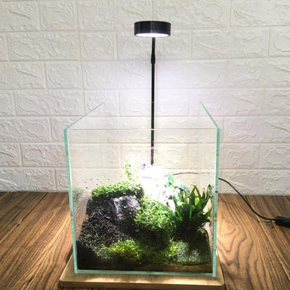 Wooden Aquarium Stand with LED Ambient Light