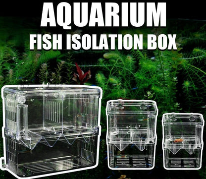 Aquarium Isolation and Quarantine Fish Tank for Safe and Secure Fish Care