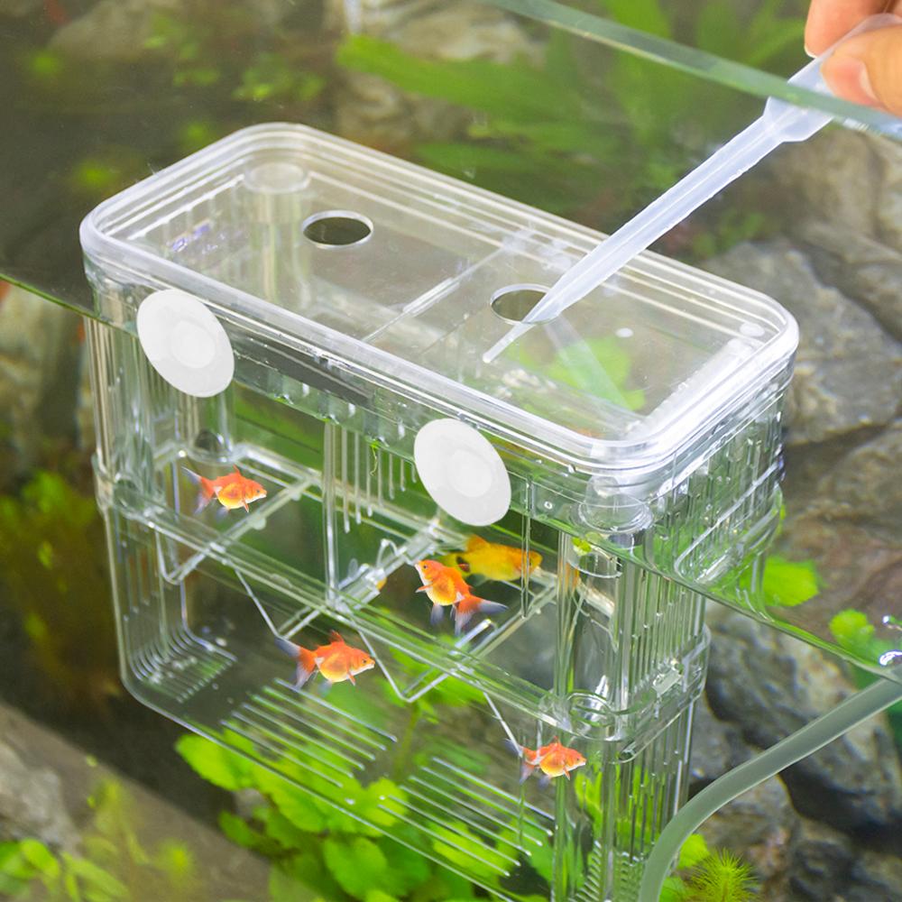 Aquarium Isolation and Quarantine Fish Tank for Safe and Secure Fish Care