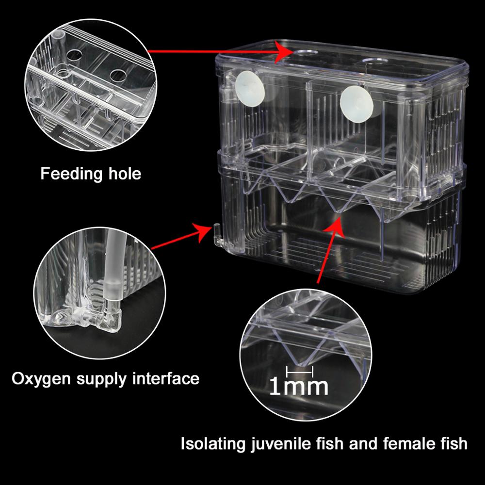 Aquarium Isolation and Quarantine Fish Tank for Safe and Secure Fish Care