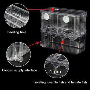 Aquarium Isolation Quarantine Fish Tank