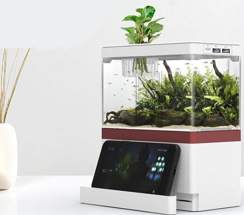 Desktop USB Mini Aquarium with LED Lamp Light, Phone Holder, and Betta Fish-Friendly Cylinder Design for a Creative Workspace