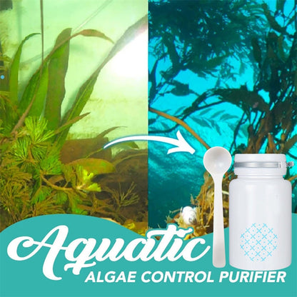 Magic Water Purifying Powder for Algae Control Pond & Aquarium Water Cleaner