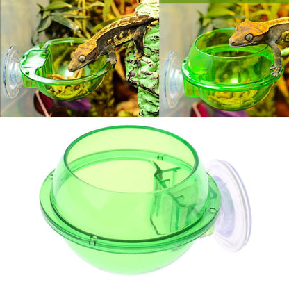 Reptile Food Container Bowl  Durable Feeding Cup for Lizards, Snakes, Turtles, and Tortoises