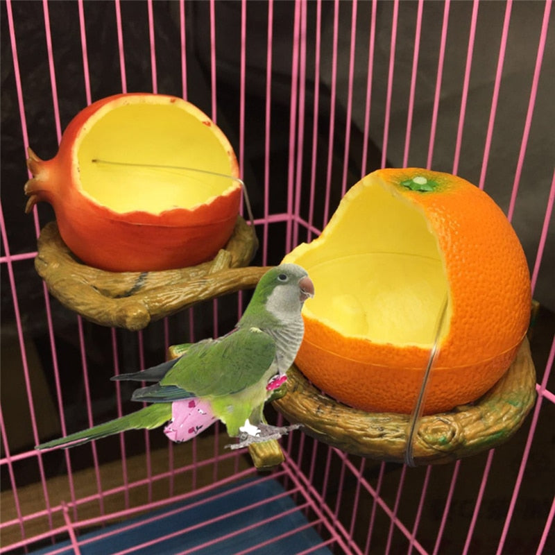 Parrot Bird Fruit Shape Feeder Container Free Shipping Now on Sale