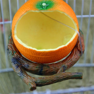Parrot Bird Fruit Shape Feeder Container