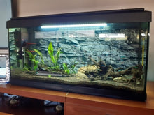 Load image into Gallery viewer, Stone 3D Print Background Wallpaper for Aquarium Fish Tank Terrarium Reptiles
