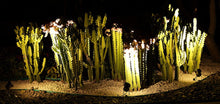 Load image into Gallery viewer, 10pcs Pond Lighting Fish Pond Lights Garden Landscape Outdoor LED Lighting
