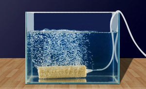 20pcs Aquarium Fish Tank Filter Water Purifying Porous Tube for 1-100 Gallons