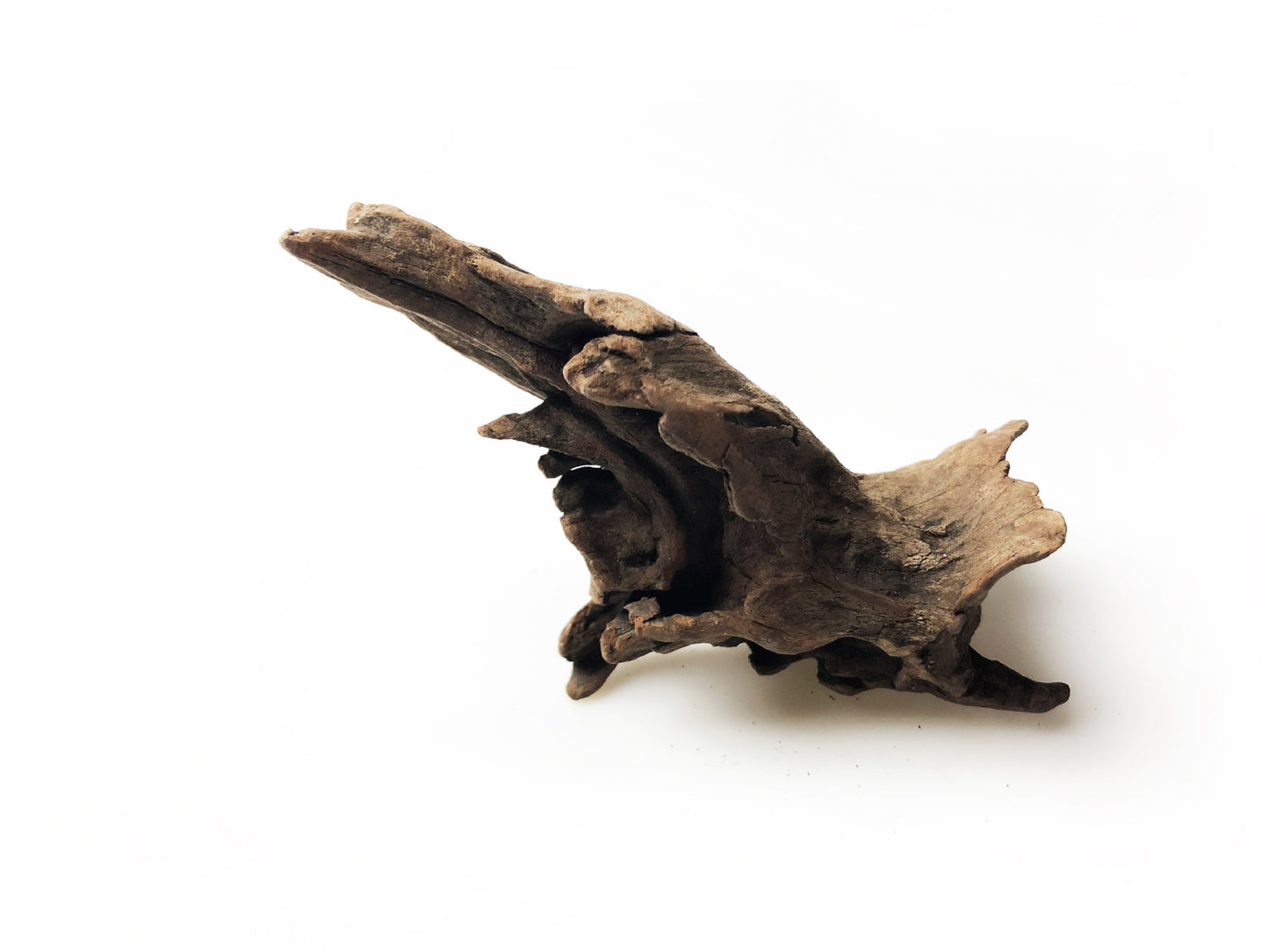 4-10 inches Natural Aquarium Driftwood Aquascape Perfect for Aquascaping