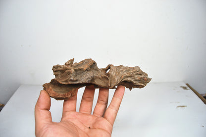 4-10 inches Natural Aquarium Driftwood Aquascape Perfect for Aquascaping