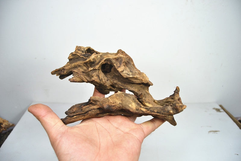 4-10 inches Natural Aquarium Driftwood Aquascape Perfect for Aquascaping