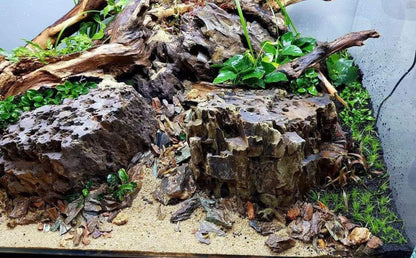 4-10 inches Natural Aquarium Driftwood Aquascape Perfect for Aquascaping