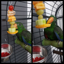 Load image into Gallery viewer, Hanging Steel Stick Parrot Birds Food Holder for Fruits Meat &amp; Vegetable
